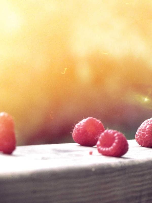 Yüksek Bel Wide Leg Pantolon