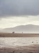 Yüksek Bel Wide Leg Pantolon - Görsel 2