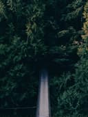 Blazer Ceket - Görsel 2