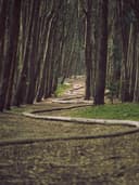 Kadife Geniş Paça Pantolon