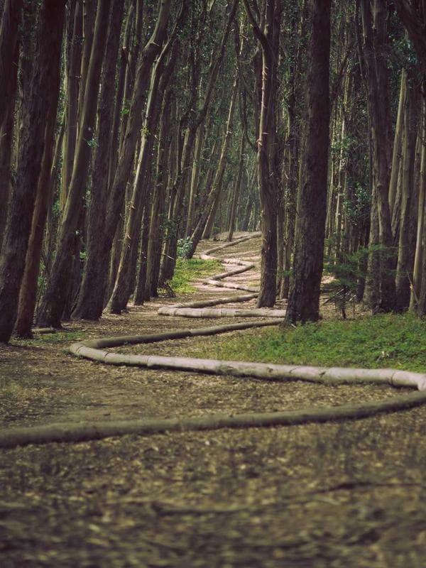 Kadife Geniş Paça Pantolon