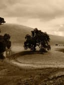 Slim Fit Oxford Gömlek