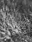 Slim Fit Oxford Gömlek - Görsel 2