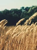 El Örgüsü Hırka - Görsel 2