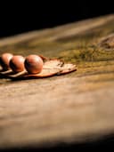 Topuklu Stiletto Ayakkabı - Görsel 2