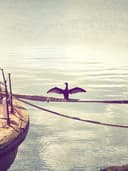 Spor Tayt - Görsel 2