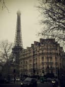 Yüksek Bel Wide Leg Pantolon