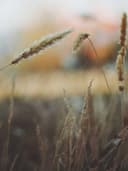 El Yapımı Gümüş Kolye