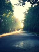 Kaşmir Triko Kazak - Görsel 3