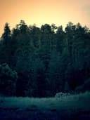 Oversize Baskılı T-Shirt