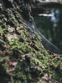 Vintage Denim Ceket - Görsel 3